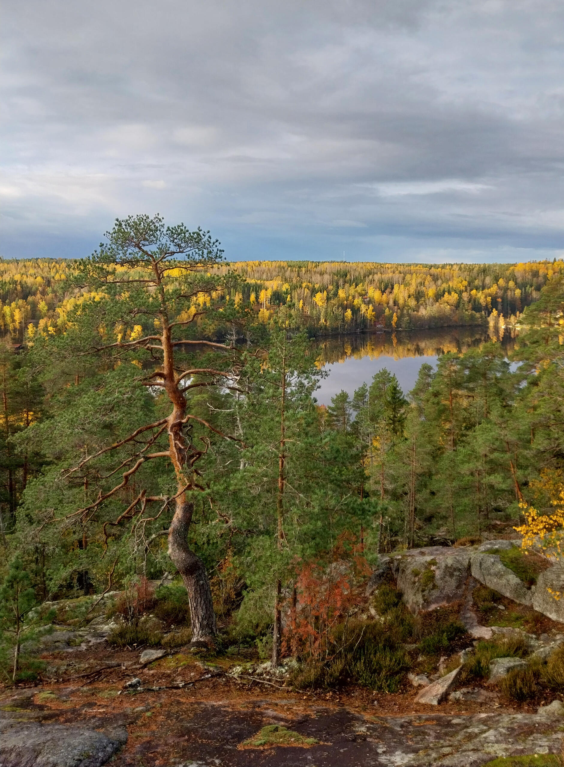 Panorama view in Nuuksio National park Panorama view with foliage in Nuuksio national park during a guided hiking tour. Punto panoramico nel parco nazionale di Nuuksio durante un trekking con guida italiana.